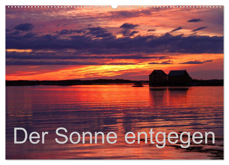 Der Sonne entgegen (CALVENDO Wandkalender 2026)