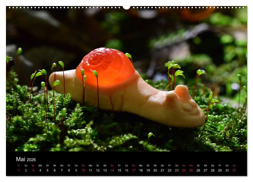 Die Welt der Fruchtgummis (CALVENDO Wandkalender 2026)