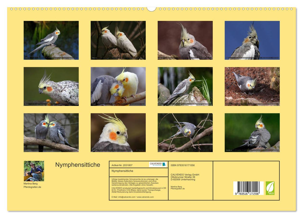 Nymphensittiche (CALVENDO Premium Wandkalender 2026)