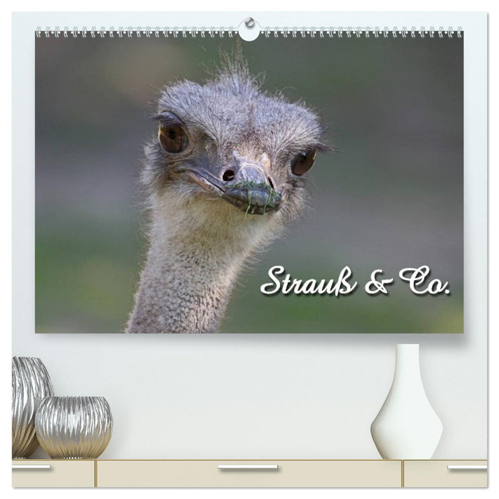 Strauß & Co. (CALVENDO Premium Wandkalender 2026)
