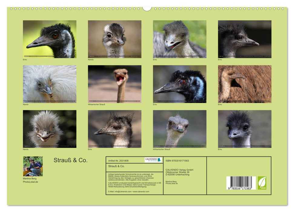 Strauß & Co. (CALVENDO Premium Wandkalender 2026)