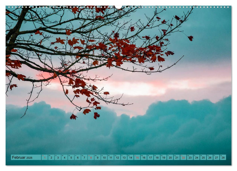 Bäume sind Träume (CALVENDO Premium Wandkalender 2026)