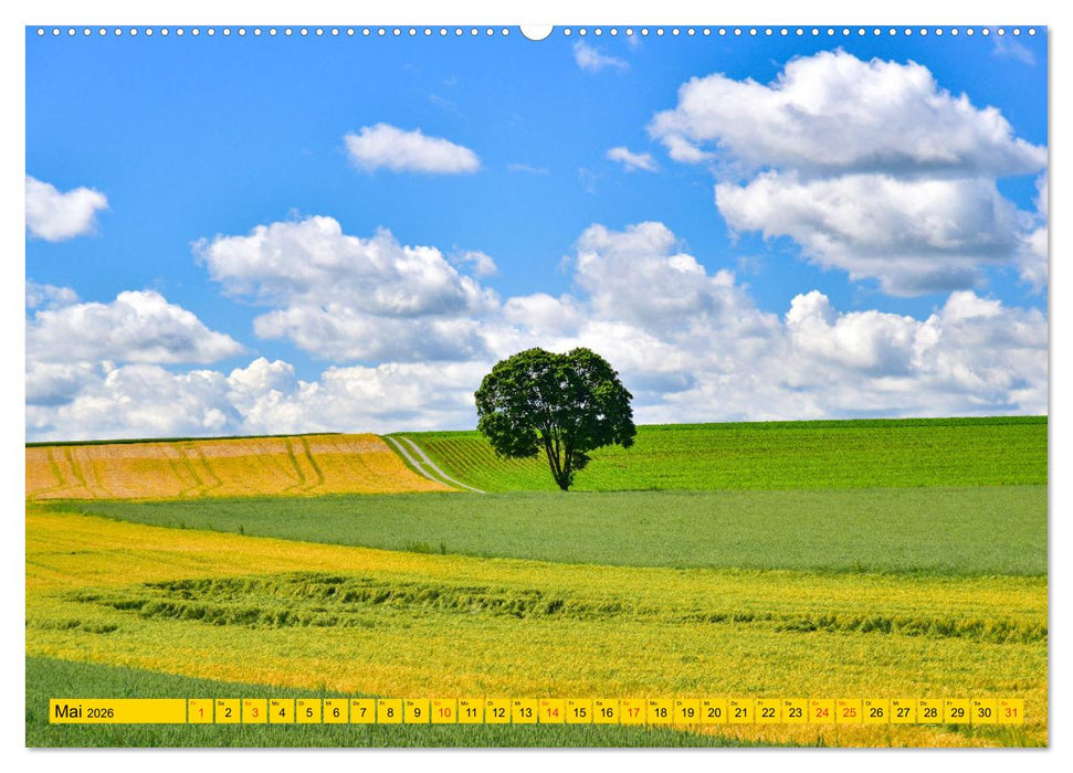 Bäume sind Träume (CALVENDO Premium Wandkalender 2026)