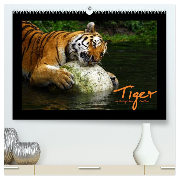 Welt der Katzen - Tiger (CALVENDO Premium Wandkalender 2026)