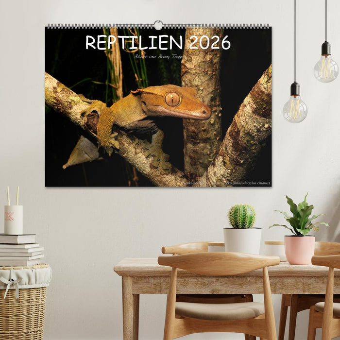 REPTILIEN (CALVENDO Wandkalender 2026)