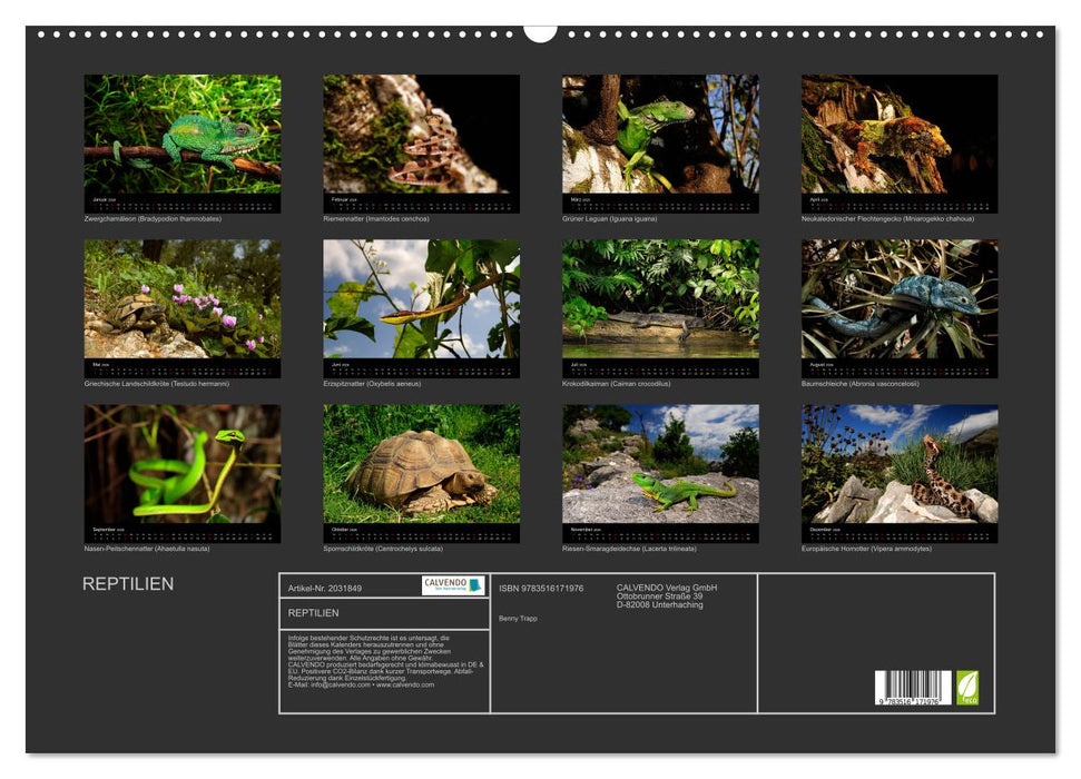REPTILIEN (CALVENDO Wandkalender 2026)