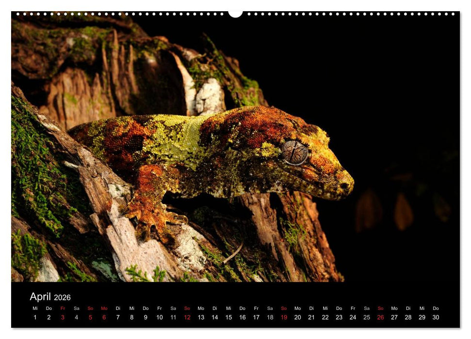REPTILIEN (CALVENDO Wandkalender 2026)