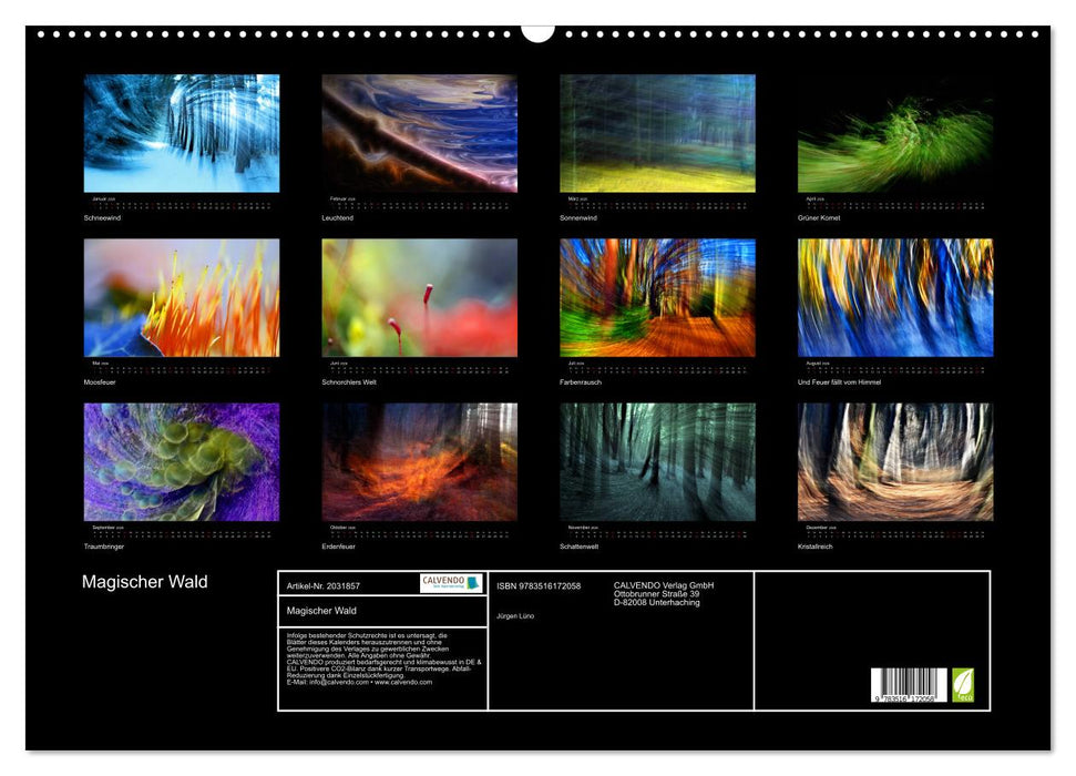 Magischer Wald (CALVENDO Wandkalender 2026)