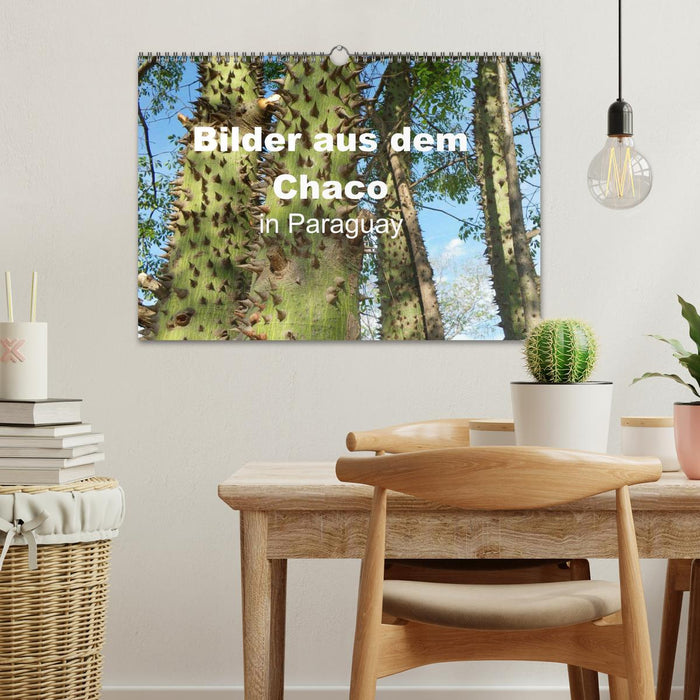Bilder aus dem Chaco in Paraguay (CALVENDO Wandkalender 2026)