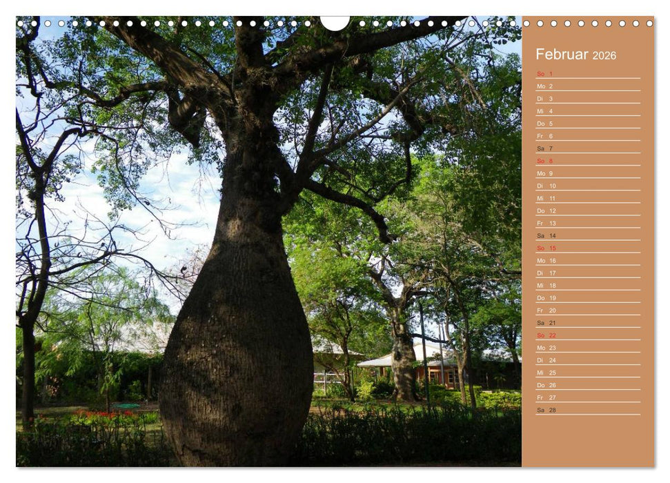 Bilder aus dem Chaco in Paraguay (CALVENDO Wandkalender 2026)