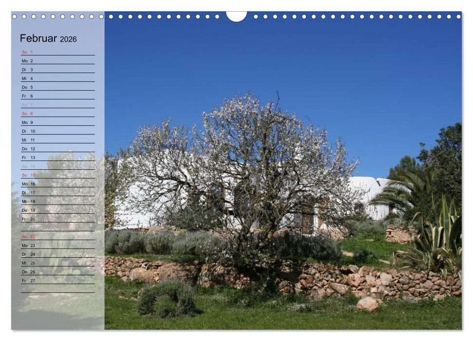 Zauberhaftes Ibiza - Terminplaner (CALVENDO Wandkalender 2026)