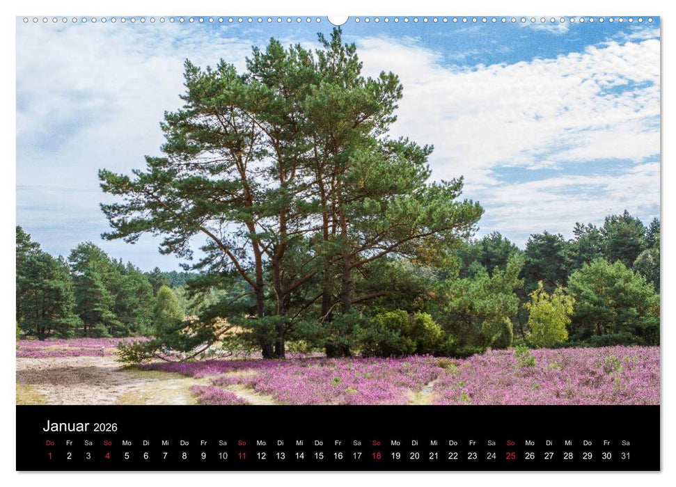 Lüneburger Heide (CALVENDO Premium Wandkalender 2026)
