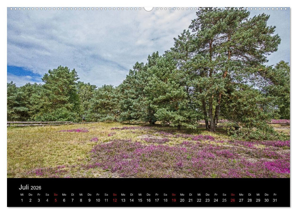 Lüneburger Heide (CALVENDO Premium Wandkalender 2026)