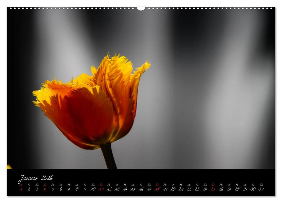 Butchart Gardens 2026 (CALVENDO Premium Wandkalender 2026)