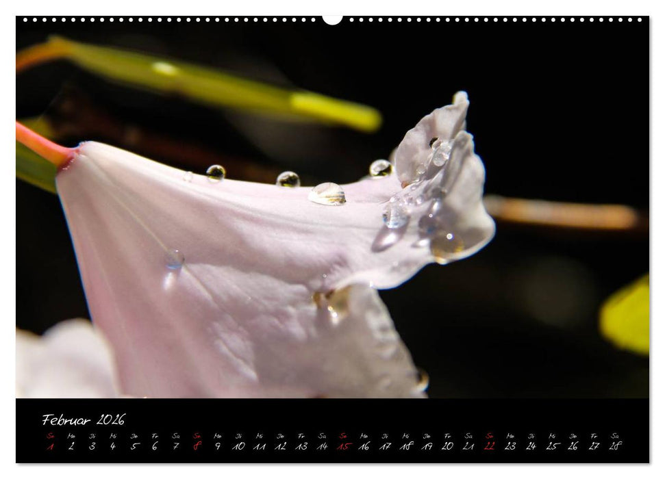 Butchart Gardens 2026 (CALVENDO Premium Wandkalender 2026)