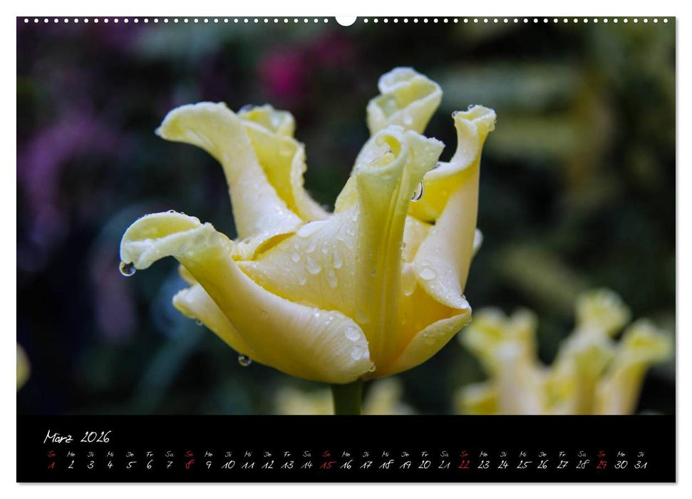Butchart Gardens 2026 (CALVENDO Premium Wandkalender 2026)