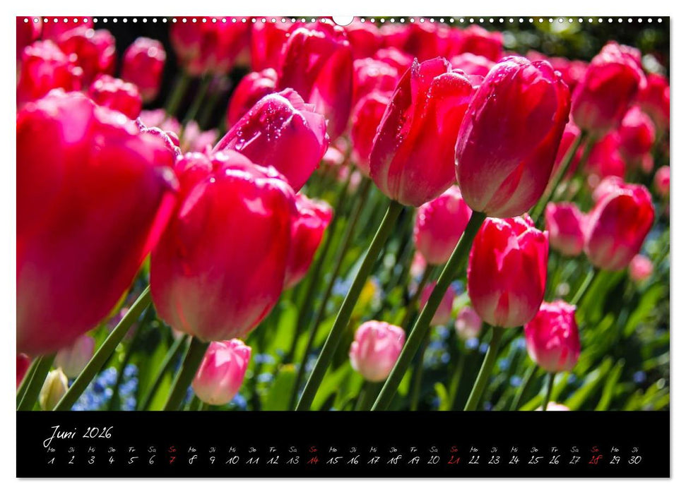 Butchart Gardens 2026 (CALVENDO Premium Wandkalender 2026)