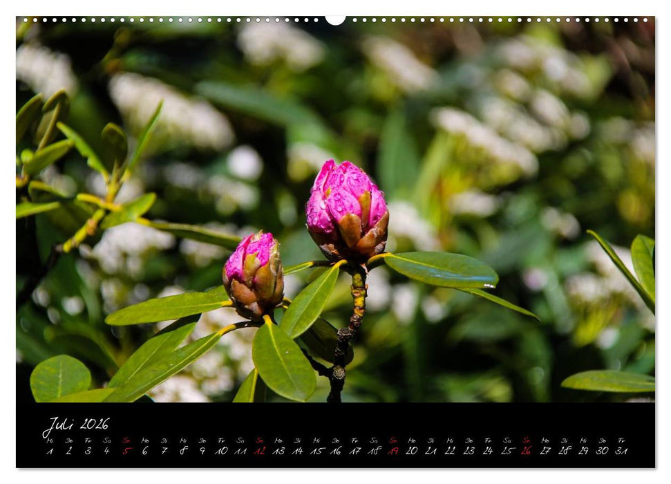 Butchart Gardens 2026 (CALVENDO Premium Wandkalender 2026)