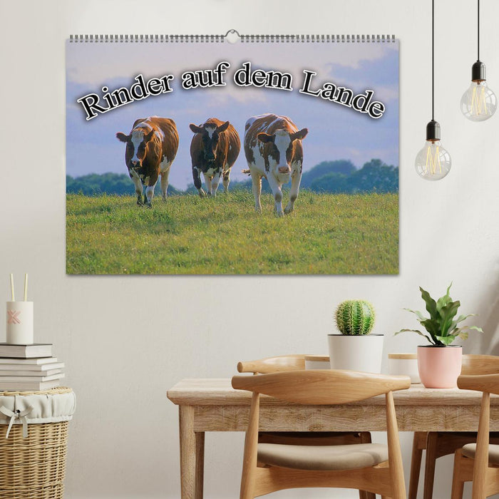 Rinder auf dem Lande (CALVENDO Wandkalender 2026)