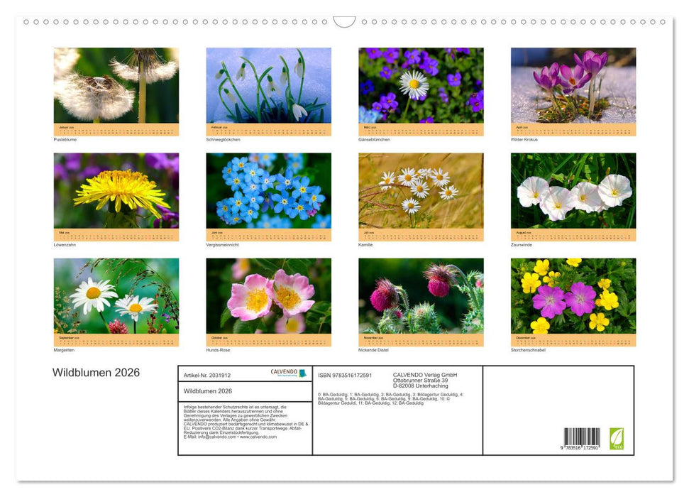 Wildblumen 2026 (CALVENDO Wandkalender 2026)