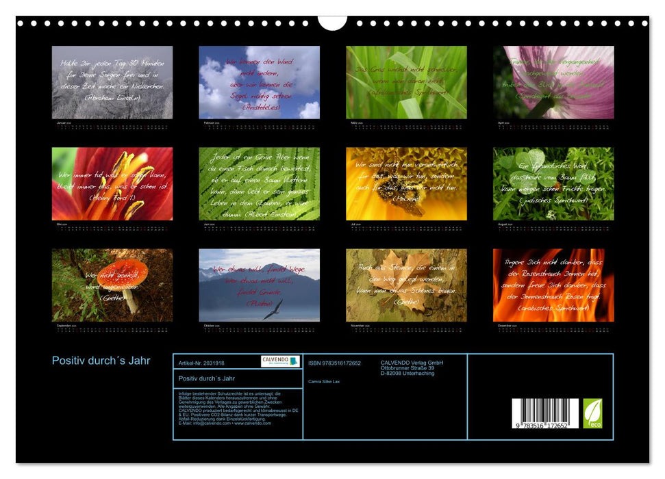 Positiv durch´s Jahr (CALVENDO Wandkalender 2026)