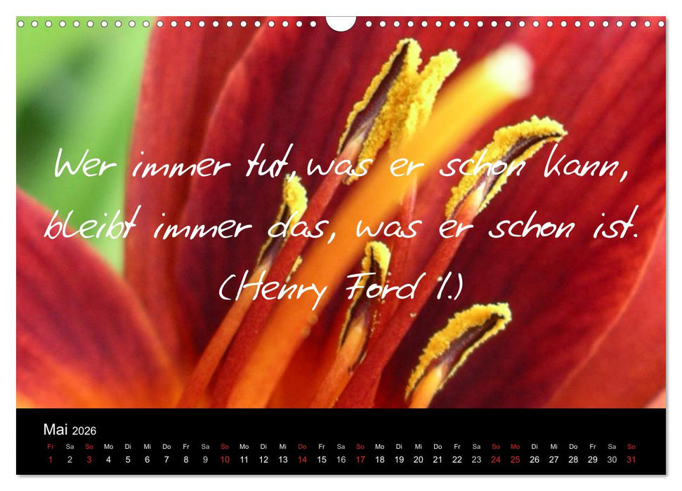 Positiv durch´s Jahr (CALVENDO Wandkalender 2026)