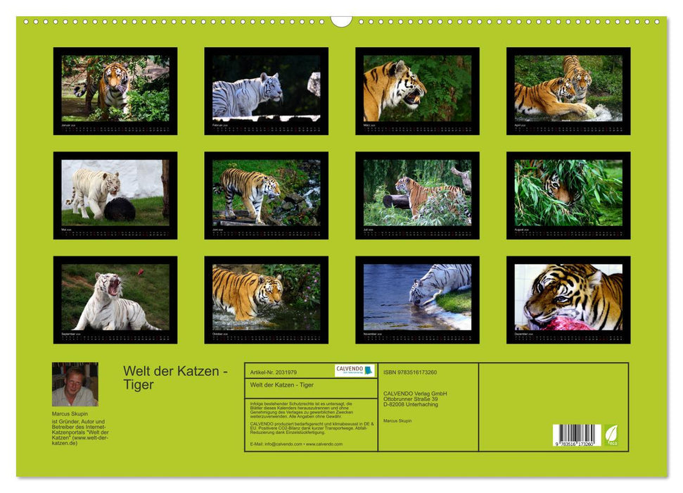 Welt der Katzen - Tiger (CALVENDO Wandkalender 2026)