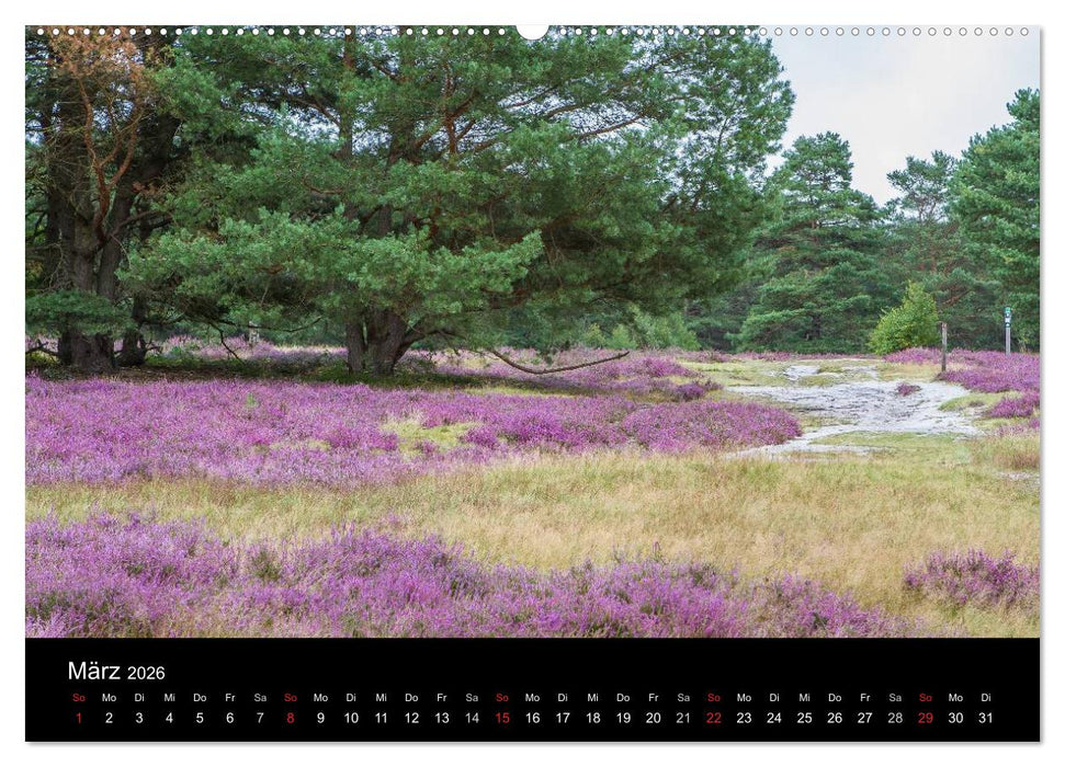 Lüneburger Heide (CALVENDO Wandkalender 2026)