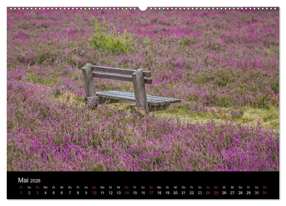 Lüneburger Heide (CALVENDO Wandkalender 2026)
