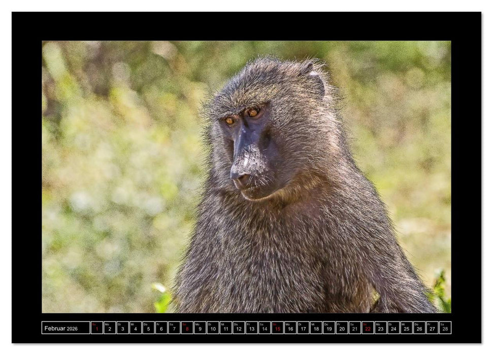 Äthiopien (CALVENDO Wandkalender 2026)