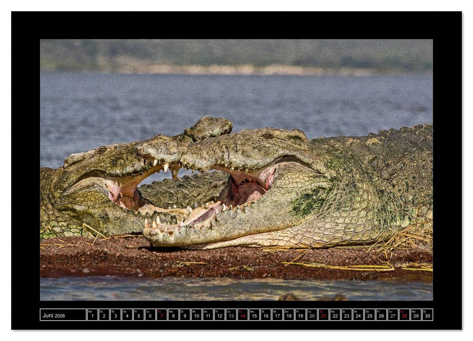 Äthiopien (CALVENDO Wandkalender 2026)