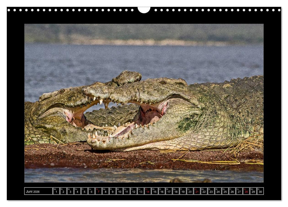 Äthiopien (CALVENDO Wandkalender 2026)