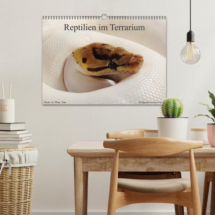 REPTILIEN IM TERRARIUM (CALVENDO Wandkalender 2026)