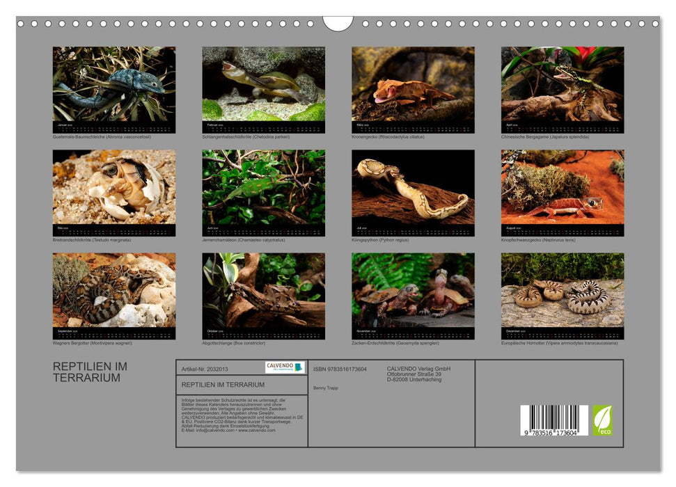 REPTILIEN IM TERRARIUM (CALVENDO Wandkalender 2026)