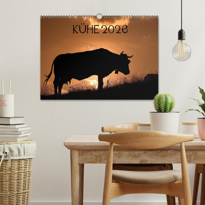 Kühe 2026 (CALVENDO Wandkalender 2026)