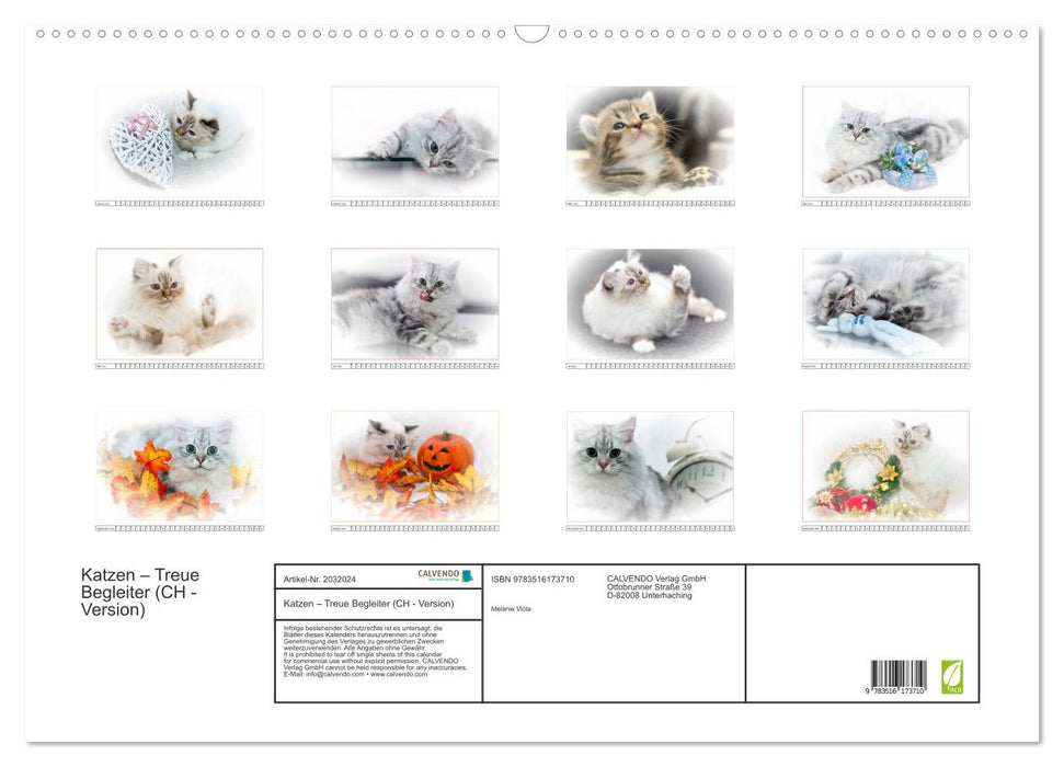 Katzen – Treue Begleiter (CH - Version) (CALVENDO Wandkalender 2026)