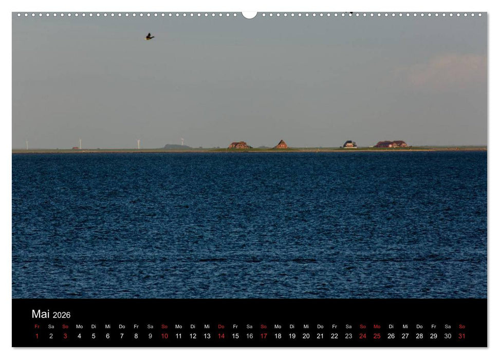 Pellworm 2026 (CALVENDO Premium Wandkalender 2026)