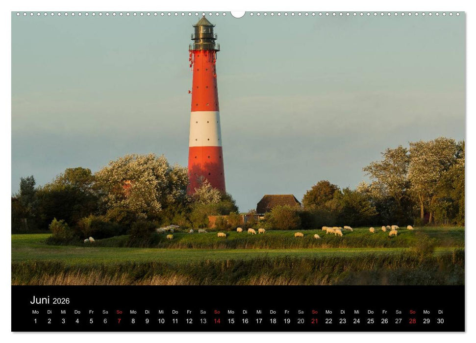 Pellworm 2026 (CALVENDO Premium Wandkalender 2026)