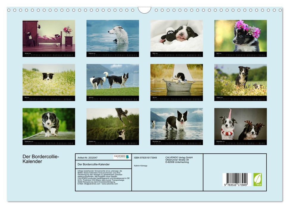 Der Bordercollie-Kalender (CALVENDO Wandkalender 2026)
