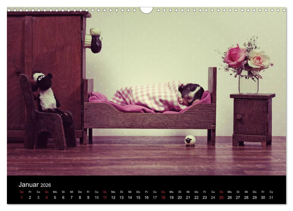 Der Bordercollie-Kalender (CALVENDO Wandkalender 2026)