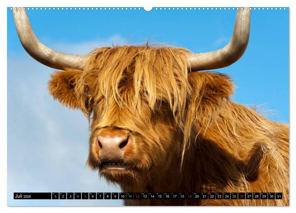 Schottland (CALVENDO Premium Wandkalender 2026)