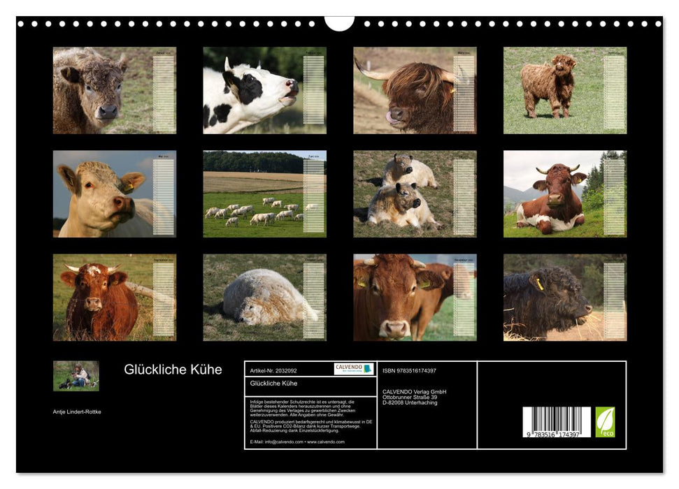 Glückliche Kühe (CALVENDO Wandkalender 2026)