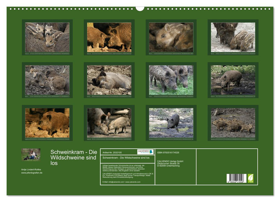 Schweinkram - Die Wildschweine sind los (CALVENDO Wandkalender 2026)