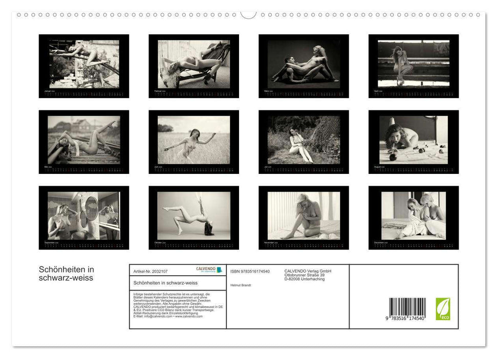 Schönheiten in schwarz-weiss (CALVENDO Premium Wandkalender 2026)