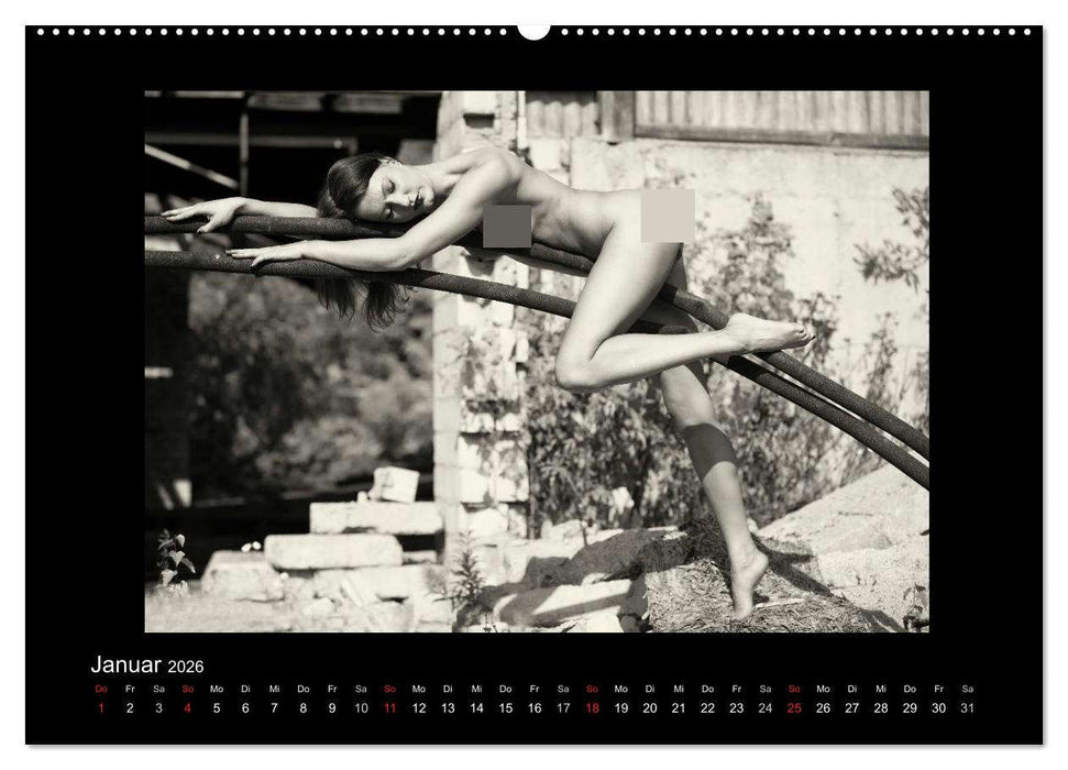 Schönheiten in schwarz-weiss (CALVENDO Premium Wandkalender 2026)
