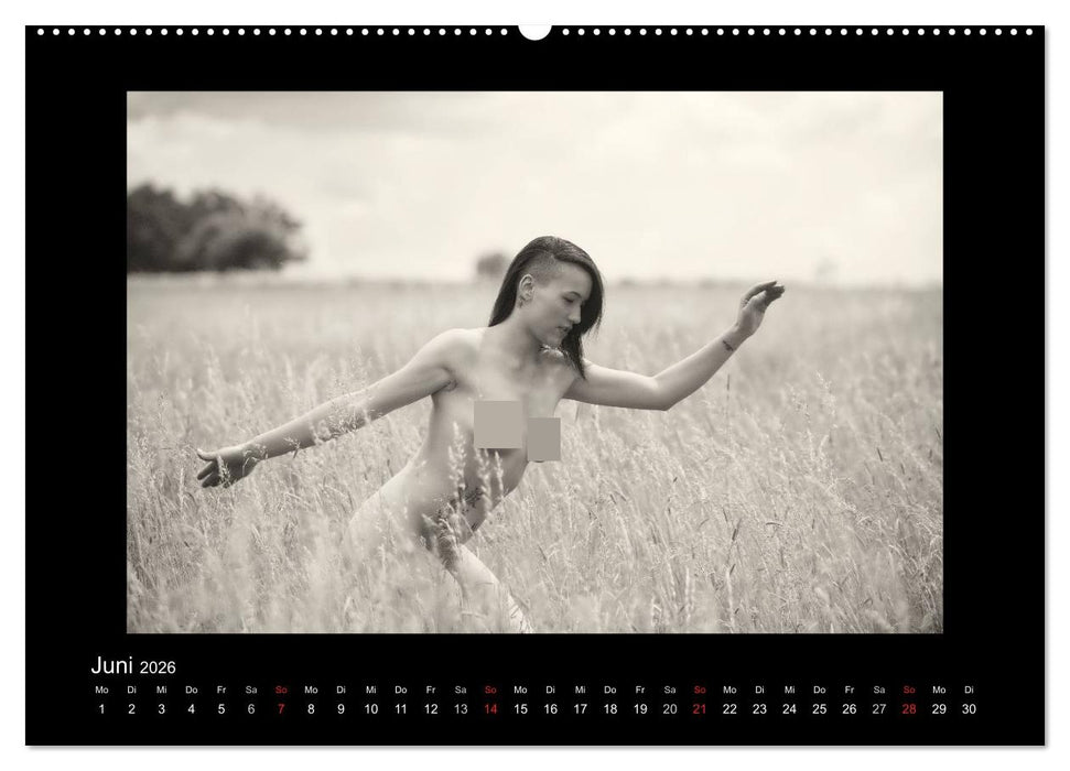 Schönheiten in schwarz-weiss (CALVENDO Premium Wandkalender 2026)