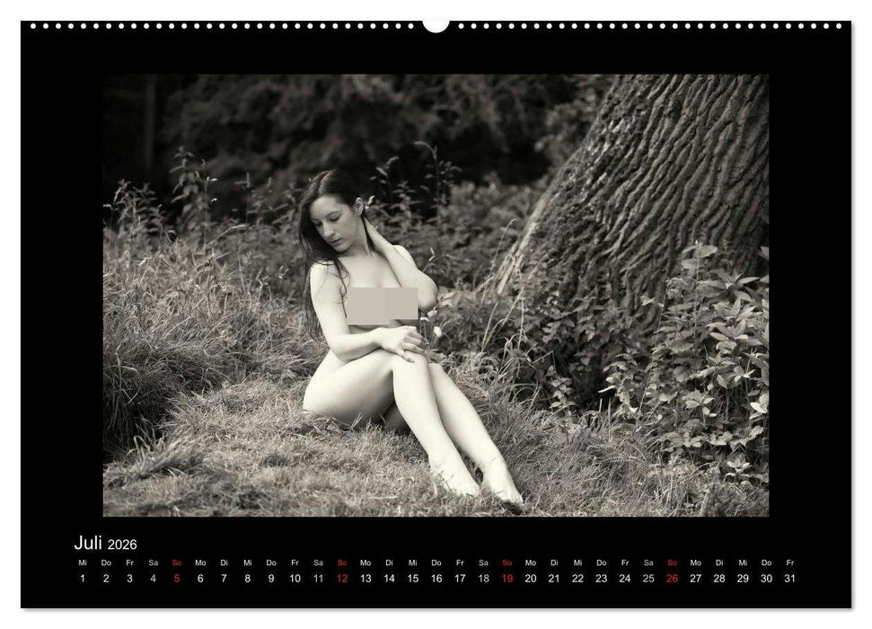 Schönheiten in schwarz-weiss (CALVENDO Premium Wandkalender 2026)