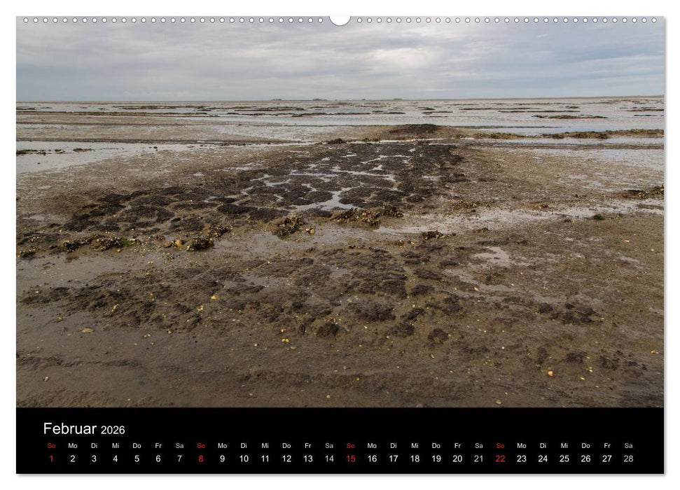 Pellworm 2026 (CALVENDO Wandkalender 2026)