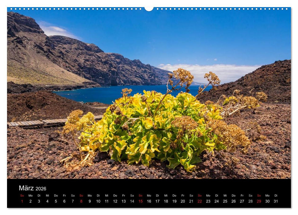 Teneriffa (CALVENDO Wandkalender 2026)