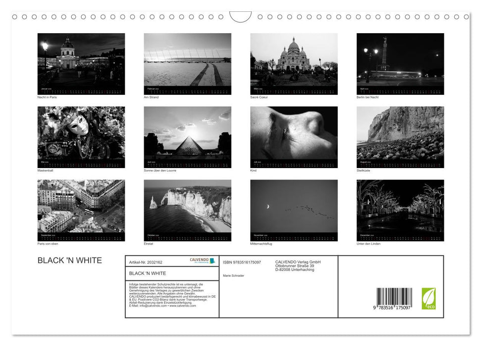 BLACK 'N WHITE (CALVENDO Wandkalender 2026)